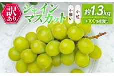 訳あり［不揃い・小粒］シャインマスカット 4パック 約1.3kg+100g補償付 ご家庭用 宮崎県新富町産 製菓用【B638-25】