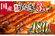 ＜高評価!!＞うなぎ 鰻楽 国産 蒲焼 3尾 人気 無頭 計480g以上 おすすめ 冷凍 簡単調理 個包装 鰻 魚介 贈答品 ギフト 贈り物【C444-60】
