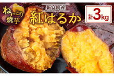 特製焼き芋！熟成蜜芋「紅はるか」計3kg 国産 新富町産［12月～5月出荷］さつまいも ねっとり焼芋 イモ【B641-1205】