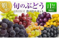 朝採れ 旬の ぶどう セット 合計1kg以上(3房以上) くだもの 果物 フルーツ おまかせ 詰め合わせ 葡萄 食べくらべ 国産 ご家庭用（約200～400g / 1房）【B645】