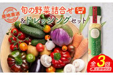 産地直送！旬の野菜（5～8種類）＆ドレッシング セット 3か月定期便 おまかせ 詰合せ 宮崎県新富町産【E213】