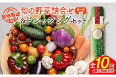 産地直送！旬の野菜（5～8種類）＆ドレッシング セット 10か月 定期便 おまかせ 詰合せ 宮崎県新富町産【F137】