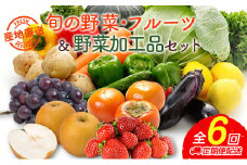 産地直送！旬の野菜・フルーツ＆野菜加工品 セット 全6回 隔月定期便 2か月に1回お届け おまかせ 詰合せ 宮崎県新富町産【F138】