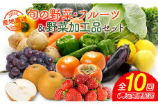 産地直送！旬の野菜・フルーツ＆野菜加工品 セット 10か月定期便 おまかせ 詰合せ 宮崎県新富町産【F139】