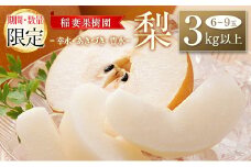 ＜期間・数量限定＞稲妻果樹園の『梨』3kg以上（幸水・あきづき・豊水のいずれか）宮崎県新富町産【A225-2025】