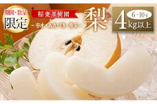 ＜期間・数量限定＞稲妻果樹園の『梨』4kg以上（幸水・あきづき・秀玉のいずれか）宮崎県新富町産【B507-2025】
