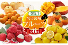 ＜奇数月全6回＞フルーツ 定期便 国産 果物 おすすめ 旬 宮崎県産 産地直送 マンゴー ライチ 日向夏 梨 柿 金柑【F140-25】