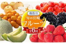 ＜偶数月全6回＞フルーツ 定期便 国産 果物 おすすめ 旬 宮崎県産 産地直送 いちご プラム ぶどう 梨 メロン 金柑【F141】