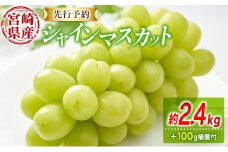 先行予約 シャインマスカット 3～4房 約2.4kg+100g補償付 宮崎県産【C433-25】