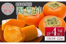 ＜期間・数量限定＞石村果樹園の『陽豊柿(ようほうがき)』計4kg以上 宮崎県新富町産【B624-25】