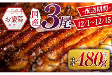 お歳暮専用 数量限定 国産 うなぎ 蒲焼 3尾（無頭）計480g以上 新富町産 鰻 無頭 のし 対応可 魚介 贈答品 ギフト ウナギ 鰻楽【N74】