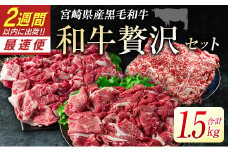 宮崎県産黒毛和牛＜新富育ちGyuGyu・切り落とし肉＆ローススライスセット＞合計1.5kg 贅沢和牛セット 肉 牛肉 宮崎県産【C288-24】