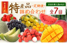 新富町 特産詰め合わせ定期便 7か月コース フルーツ くだもの マンゴー ライチ 国産【F150】