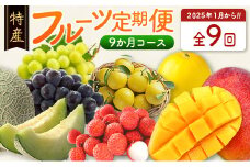 特産フルーツ定期便 9か月コース フルーツ くだもの マンゴー ライチ 国産【F151】