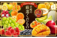 青果店チョイス！くだもの定期便Vol.4（全12回）国産 フルーツ 果物 1年間 毎月お届け 産地直送【F147】