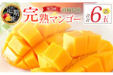 [定期便全3回] 宮崎完熟マンゴー 2Lサイズ 合計6玉 特産 国産 果物 フルーツ 旬 産地直送【E219】