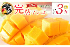 宮崎特産「完熟マンゴー2L×1玉」お届け定期便（全3回）計3玉 特産 国産 果物 フルーツ 旬 産地直送【E218-26】