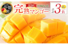 [定期便全3回] 宮崎完熟マンゴー 4Lサイズ 合計3玉 特産 国産 果物 フルーツ 旬 産地直送 大玉【E220】
