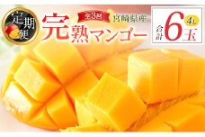 [定期便全3回] 宮崎完熟マンゴー 4Lサイズ 合計6玉 特産 国産 果物 フルーツ 旬 産地直送 大玉【F142】