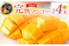 宮崎特産「完熟マンゴー4L×1玉」お届け定期便（全4回）計4玉 特産 国産 果物 フルーツ 旬 産地直送 大玉【E221-26】