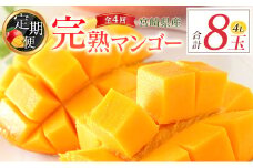 [定期便全4回] 宮崎完熟マンゴー 4Lサイズ 合計8玉 特産 国産 果物 フルーツ 旬 産地直送 大玉【F144】