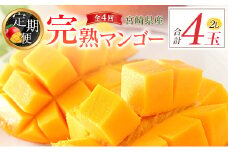 [定期便全4回] 宮崎完熟マンゴー 2Lサイズ 合計4玉 特産 国産 果物 フルーツ 旬 産地直送【E223】