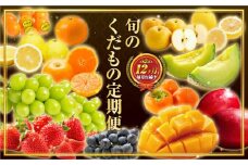 旬のくだもの定期便 全12回 マンゴー いちご マスカット 国産 宮崎【F152】