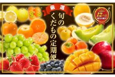 旬のくだもの定期便 「厳選コース」 全12回 マンゴー いちご マスカット 国産 宮崎【F153】