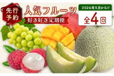 数量限定！＜好き好き定期便＞全4回 人気フルーツコース≪2026年5月配送開始≫ 宮崎県産 フルーツ くだもの 国産【F149-26】