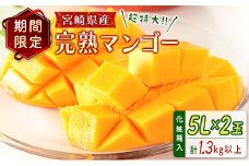 宮崎県産 完熟マンゴー＜5L×2玉 (計1.3kg以上) ＞化粧箱入 フルーツ くだもの 国産【E226-25】
