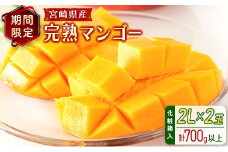 宮崎県産 完熟マンゴー＜2L×2玉 (計700g以上) ＞化粧箱入 フルーツ くだもの 国産【C355-25】