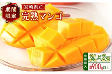 宮崎県産 完熟マンゴー＜3L×2玉 (計900g以上) ＞化粧箱入 フルーツ くだもの 国産【C356-25】