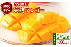宮崎県産 完熟マンゴー＜L×2玉 (計600g以上) ＞化粧箱入 フルーツ くだもの 国産【B544-25】
