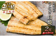 前日配送予約［土用丑の日］うなぎ 白焼き ギフト 2尾（110～150g/1尾あたり）宮崎県産鰻 蒲焼きタレ付（50ml×1本）配送日指定可 国産 有頭 熨斗 贈答品 ※2025年7月30日配送【N43-B25】