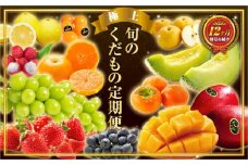 旬のくだもの定期便 「極上コース」 全12回 マンゴー いちご マスカット 国産 宮崎【G53】