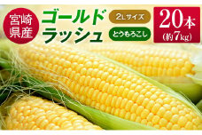 宮崎県産 ゴールドラッシュコーン 20本 約7kg とうもろこし 野菜 旬 国産【B426-25】