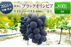 ［ご自宅・ご家庭用］ぶどう 2026年収穫・発送 ナイトハーベスト（夜摘み）種なし『ブラックオリンピア（一番星）』計800g以上 3房 人気 ブドウ フルーツ 果物【B646-26】
