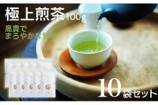 宮崎日本茶専門店 極上煎茶100g 10本セット お茶 緑茶 ギフト お取り寄せ【E232】