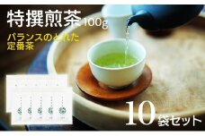 宮崎日本茶専門店 特撰煎茶100g 10本セット お茶 緑茶 ギフト お取り寄せ【E229】