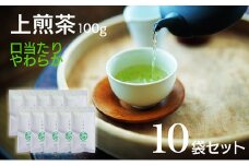 宮崎日本茶専門店 上煎茶100g 10本セット お茶 緑茶 ギフト お取り寄せ【D140】