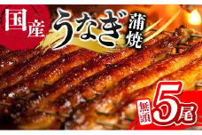 ＜ご家庭用＞うなぎ 鰻楽 国産 蒲焼 5尾 計650g以上（130g×5尾）おすすめ 冷凍 簡単調理 個包装 鰻 魚介【D144】