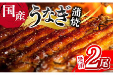 ＜ご家庭用＞うなぎ 鰻楽 国産 蒲焼 2尾 計240g以上（120g×2尾）おすすめ 冷凍 簡単調理 個包装 鰻 魚介【B666】