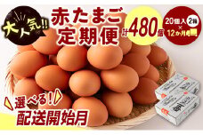 ＜配送開始月が選べる!!＞児湯養鶏自慢の卵 ネッカリッチ赤たまご「児湯一番」 計480個 （20個入×2箱）×12か月定期便 ※2025年10月配送開始【E19-2510】