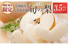 ＜期間・数量限定＞石村果樹園 旬の梨 プレミアム（3.5kg以上）宮崎県新富町産【B599-25】