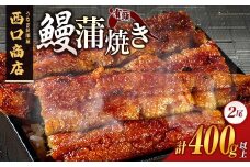 うなぎ居酒屋西口商店の鰻蒲焼き 2尾 計400g以上 宮崎県産うなぎ 有頭 国産【D141】