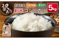 ＜訳あり＞【令和7年産 新米】コシヒカリ 5kg 無洗米 宮崎県産 新富町産 早期米 早場米 夏の新米 乾式【B679】