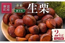 ＜期間限定＞国産 新鮮朝どれ（生栗）2kg お取り寄せ 産地直送 宝珠栗 数量限定 宮崎県新富町産【B669】