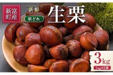 ＜期間限定＞国産 新鮮朝どれ（生栗）3kg お取り寄せ 産地直送 宝珠栗 数量限定 宮崎県新富町産【B670】