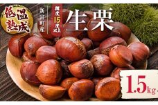 ＜期間限定＞国産 低温熟成栗（生栗）1.5kg 糖度15度以上 熟成宝珠栗 産地直送 宮崎県新富町産【B672】