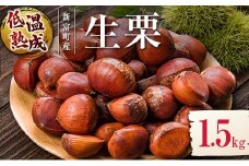 ＜期間限定＞国産 低温熟成栗（生栗）1.5kg 熟成宝珠栗 産地直送 宮崎県新富町産【B672】